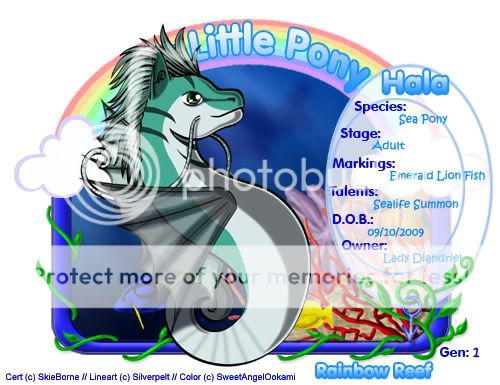 User Image